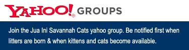 Jua Ini Yahoo Group